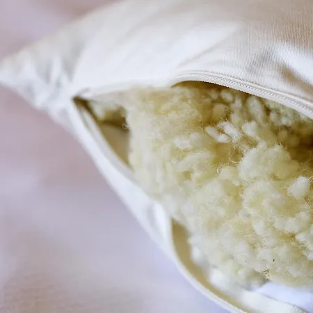 Apartamento Alpine Chesa A La Punt