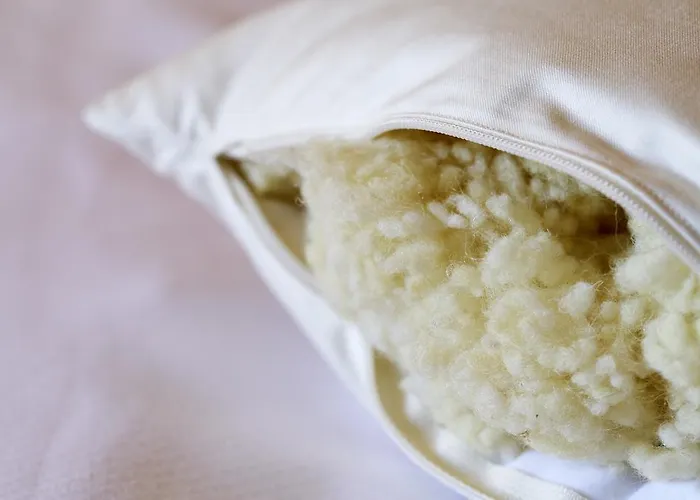 Appartement Alpine Chesa A La Punt